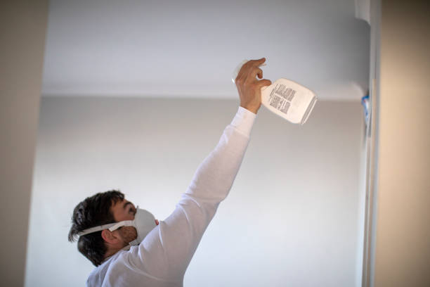 Best DIY Mold Remediation Support Services in Rochester Institute Of Technology, NY