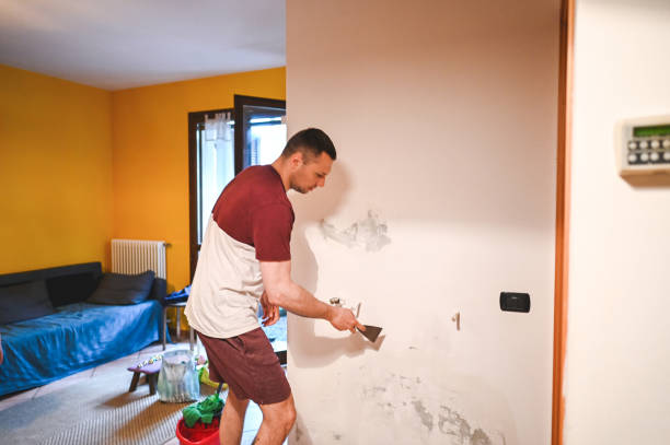 Best White Mold Remediation in Rochester Institute Of Technology, NY